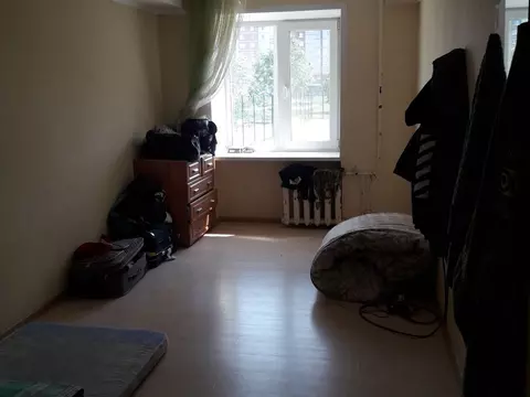 Под прицелом рыжие усачи!
